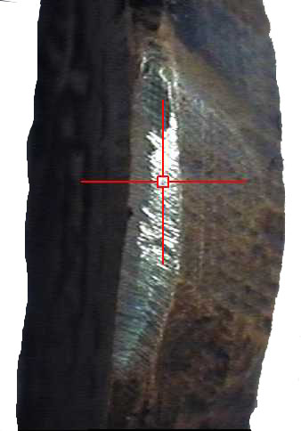5964 Ptolemaic Egypt Ptolemaeus III AE my-XRF 1