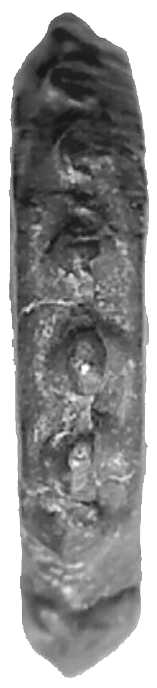 303 Seleucus VI AE Rand 2