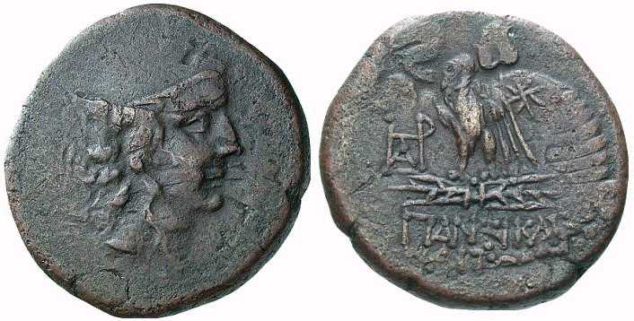 2334 Panticapaeum Bosporus Cimmerius AE
