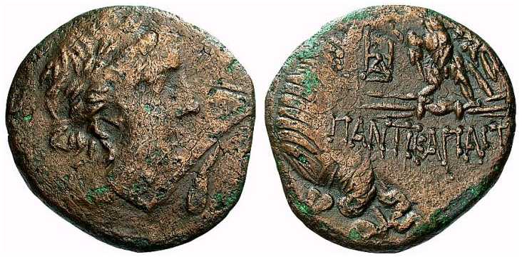 2335 Panticapaeum Bosporus Cimmerius AE