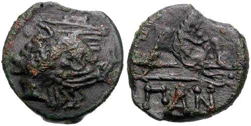 3956 Panticapaeum Bosporus Cimmerius AE