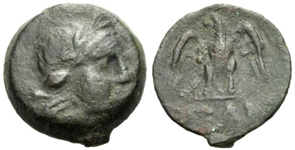 4592 Panticapaeum AE