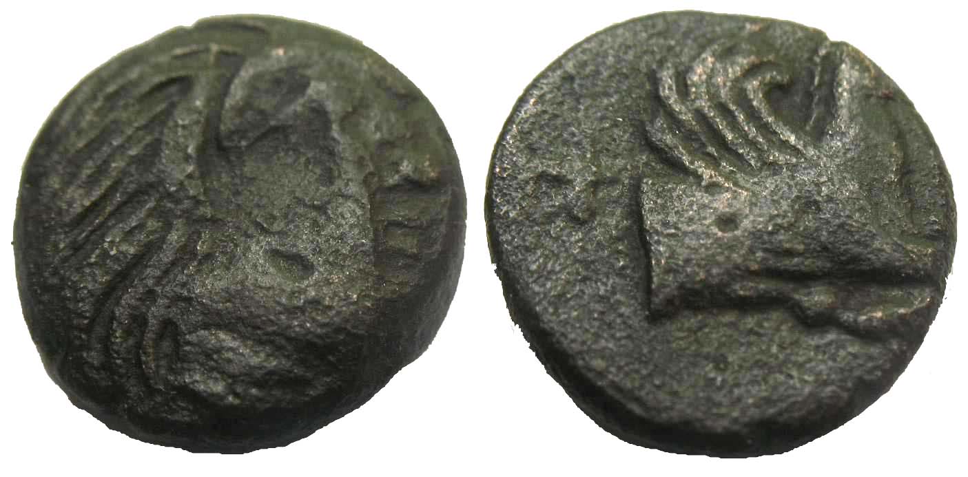 5201 Panticapaeum Bosporus Cimmerius AE