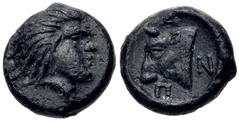 5490 Panticapaeum Bosporus Cimmerius AE