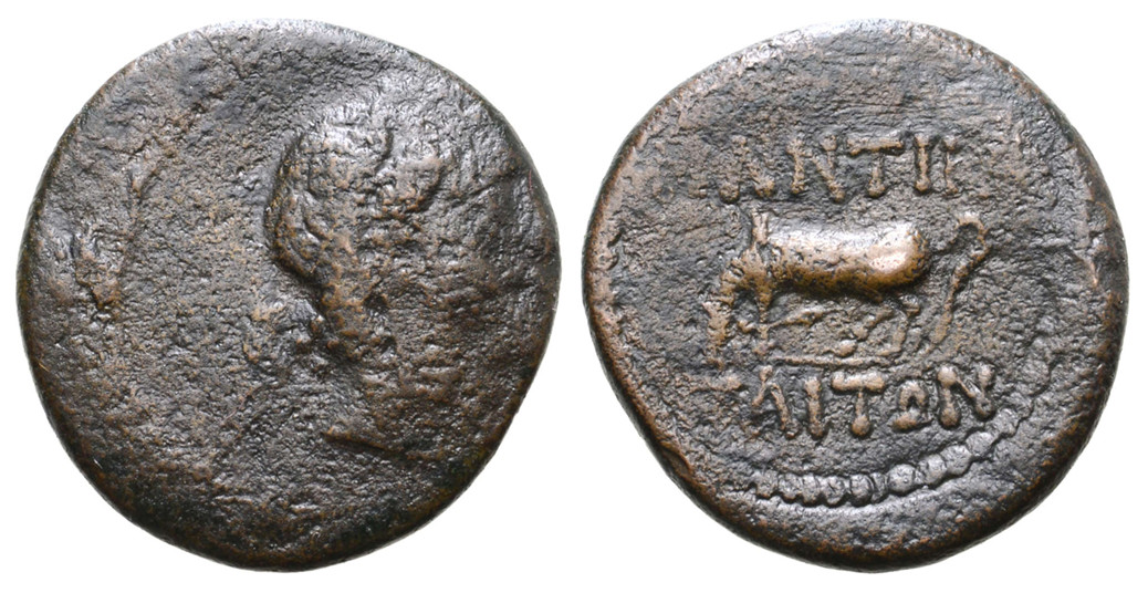 7262 Panticapaeum Bosporus Cimmerius AE