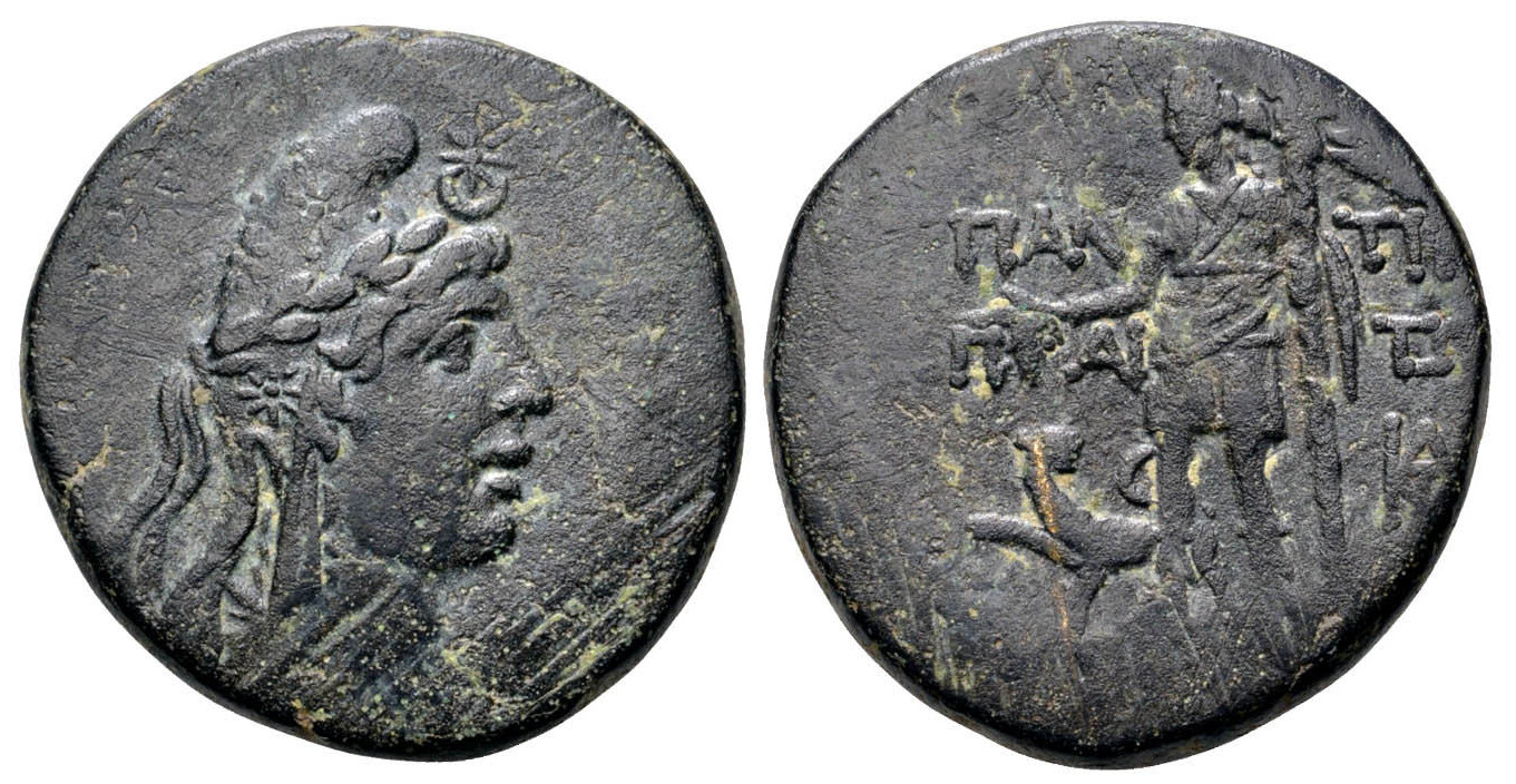 v4863 Pantikapaion Bosporus Cimmerius  AE