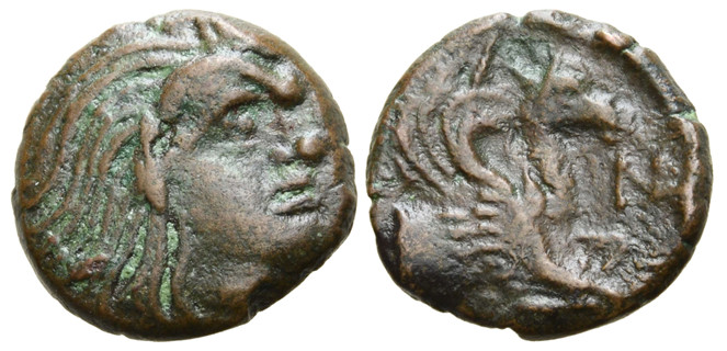 v5504 Panticapaeum Bosporus Cimmerius AE