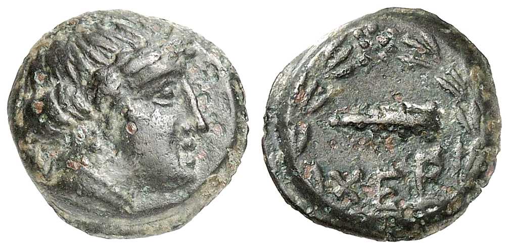 5728 Chersonesus Paeninsula Taurica AE