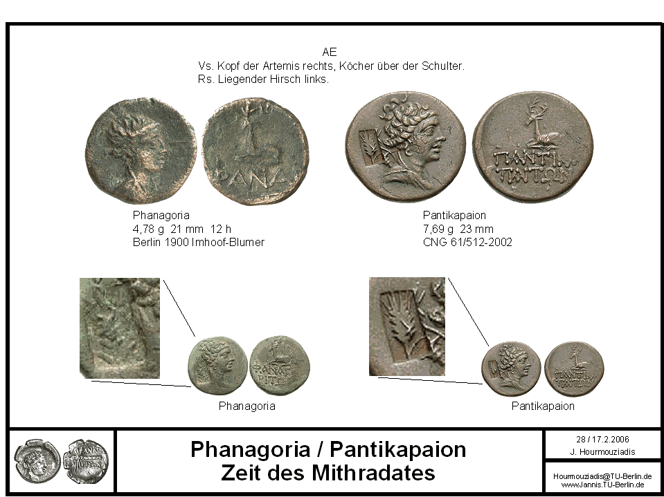 Phanagoria Pr028