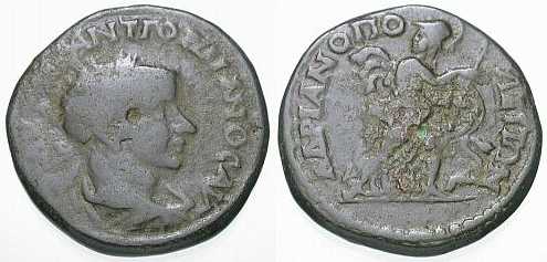 3277 Hadrianopolis Thracia Gordianus III AE