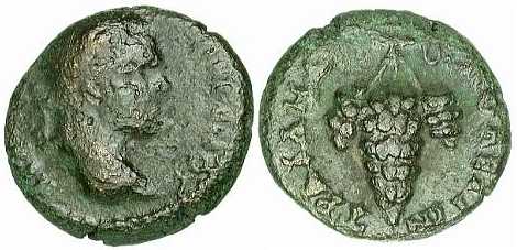 3013 Traianopolis Thracia Caracalla AE