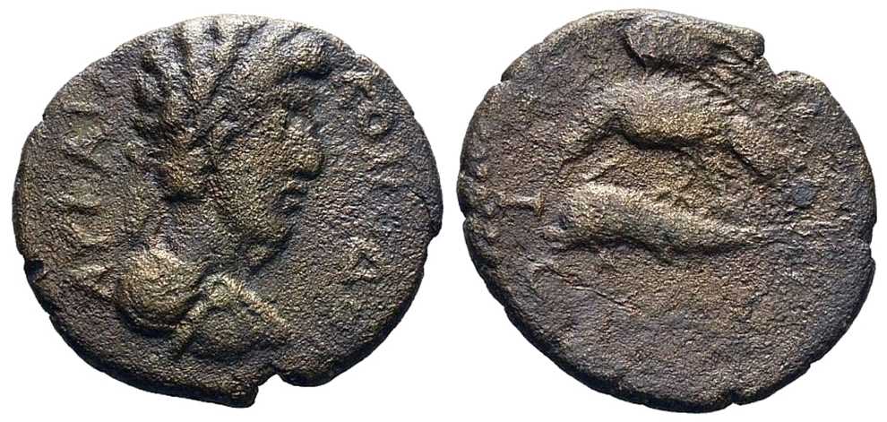 5578 Istrus Moesia Inferior Commodus AE