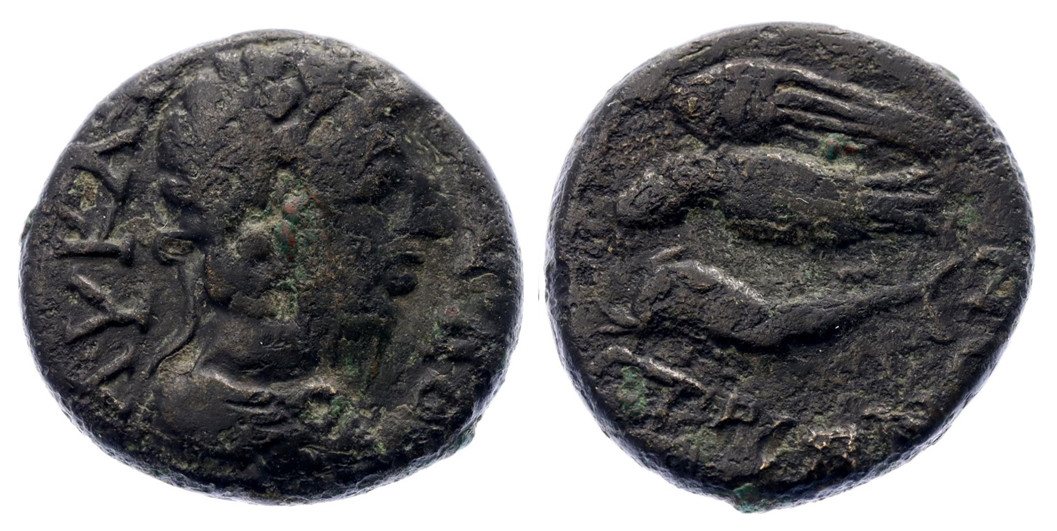 7507 Istrus Moesia Inferior Commodus AE