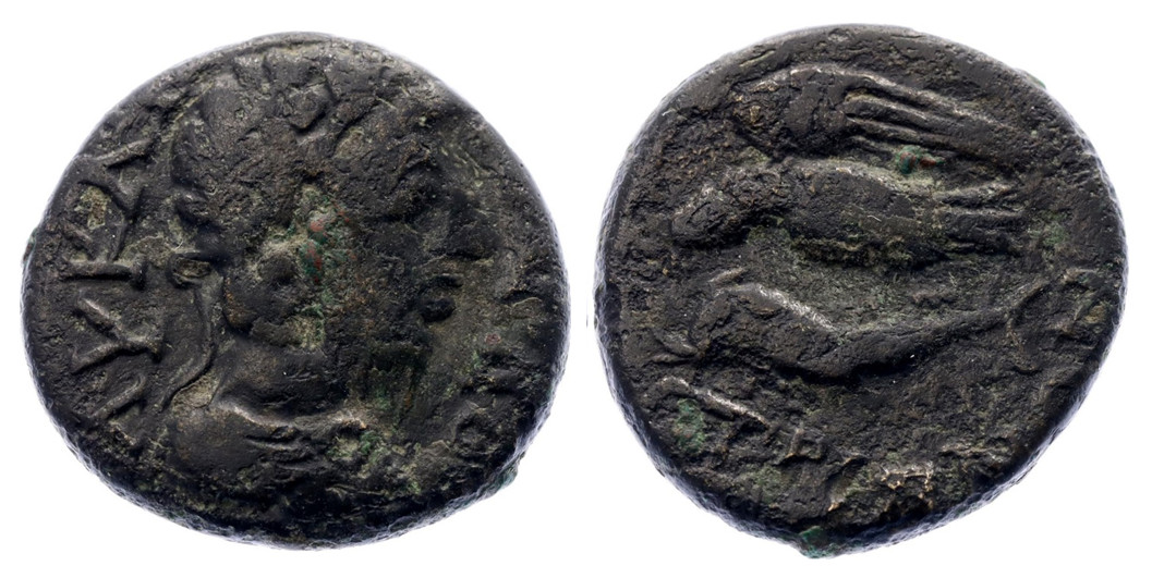 7507 Istrus Moesia Inferior Commodus AE