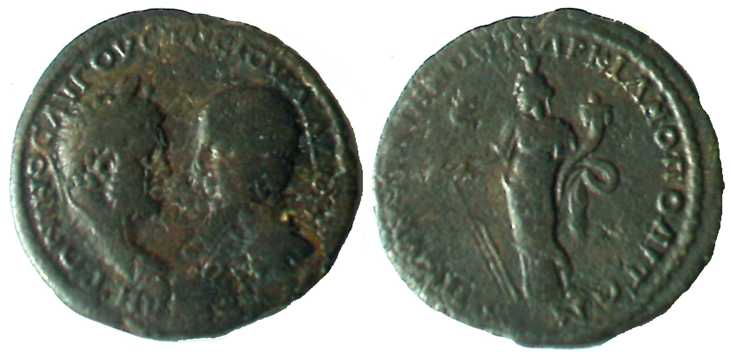 5819 Marcianopolis Caracalla & Iulia Domna AE