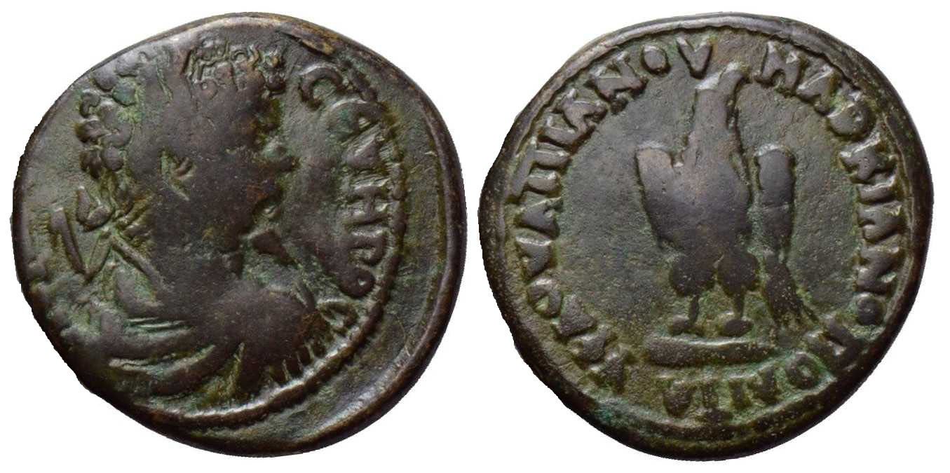 5847 Marcianopolis Moesia Inferior Septimius Severus AE