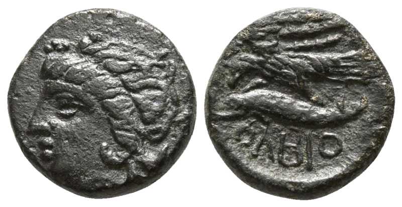 6580 Olbia Sarmatia AE