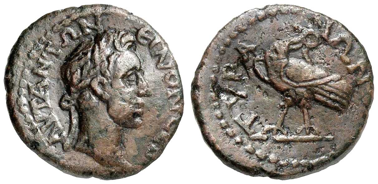 5721 Tyra Sarmatia Antoninus Pius AE