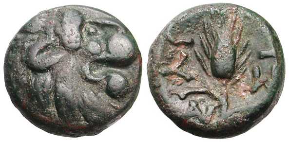 2597 Lysimachia Chersonesus Thraciae AE