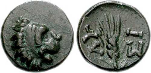 2664 Lysimachia Chersonesus Thraciae AE