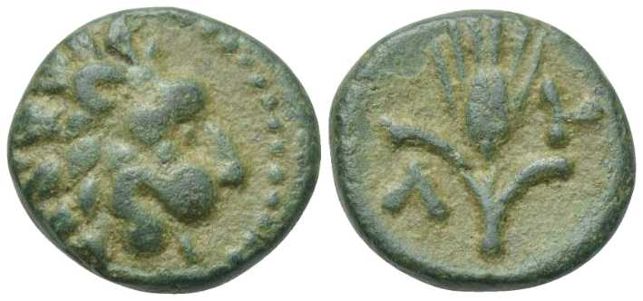5685 Lysimachia Chersonesus Thraciae AE