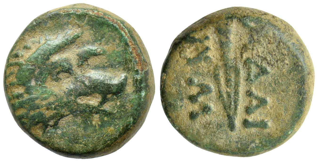 6509 Adaeus Rex Thracia AE