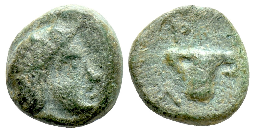 7337 Philetas Rex Thraciae AE