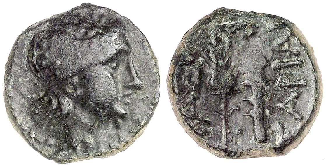 3708 Sarias, Sariacus Rex Scythicus Thraciae AE