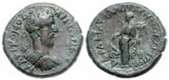 2780 Amasia Pontus Commodus AE