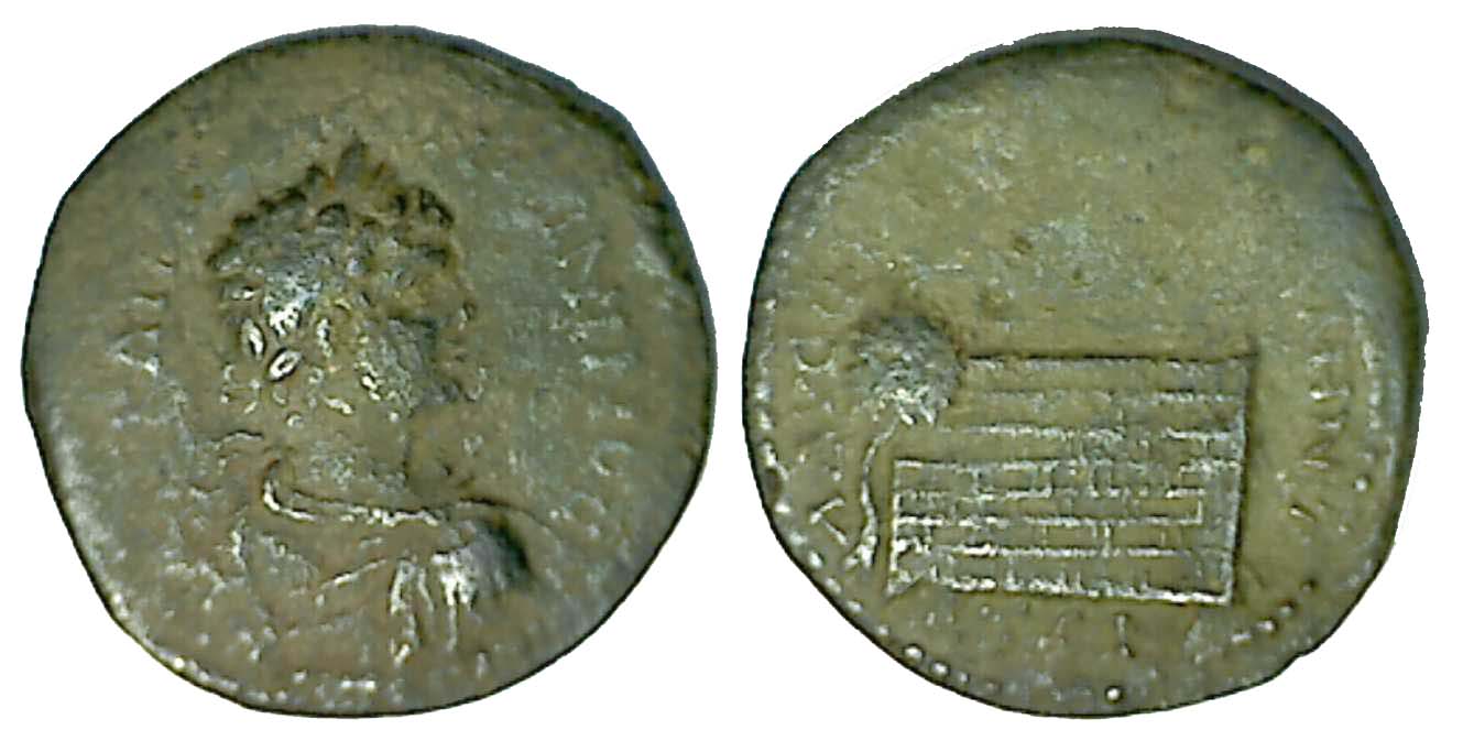 6430 Amasia Pontus Caracalla AE