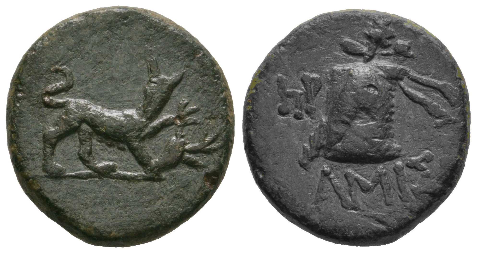 6584 Amisus Pontus AE