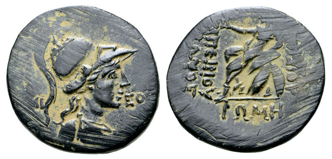 7177 Amisus Pontus Papirius Carbo AE