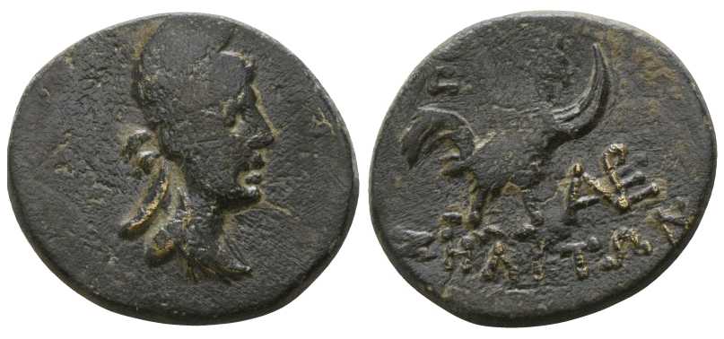 6439 Zela Pontus Septimius Severus AE