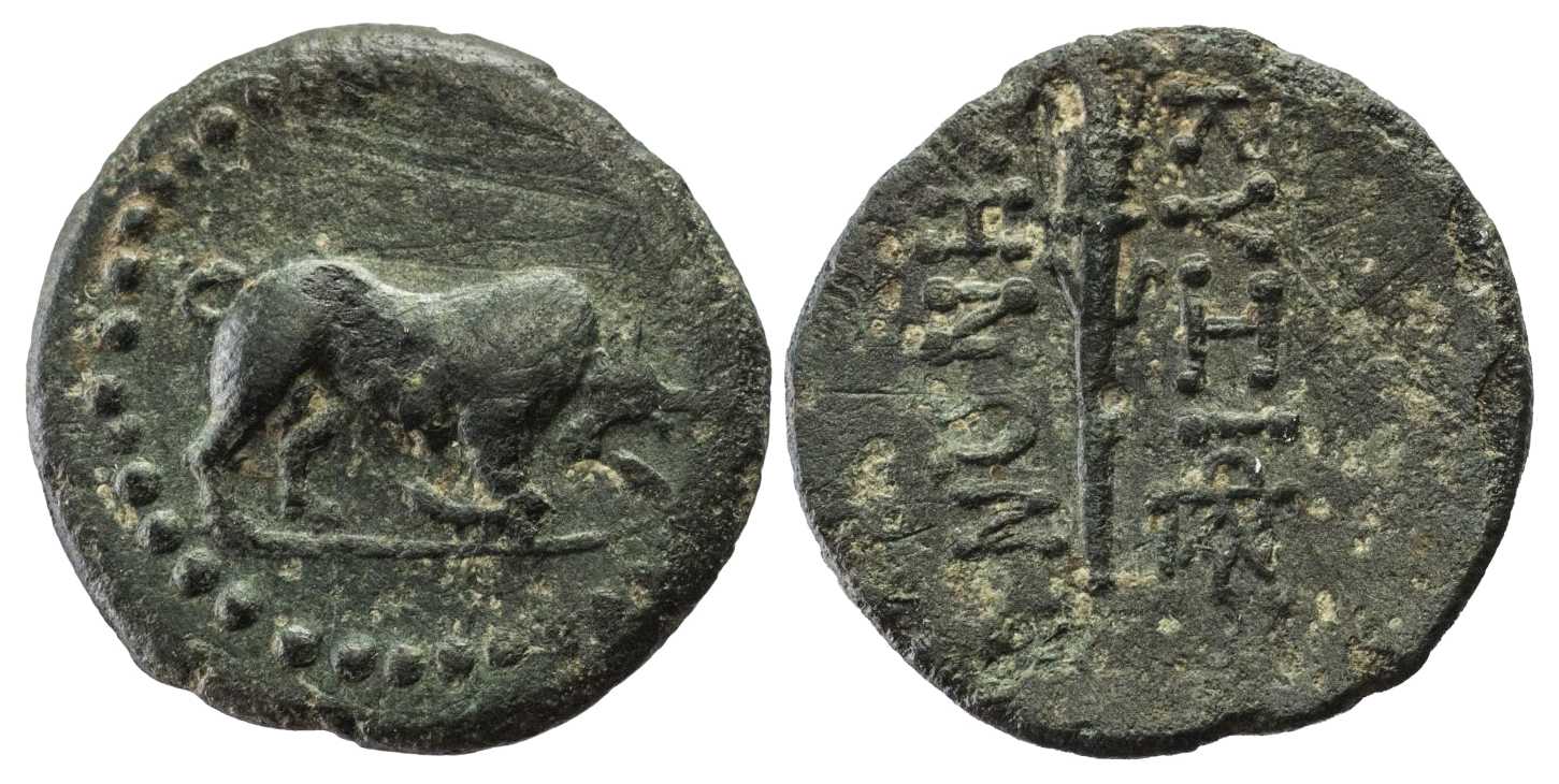 6226 Cyzicus Mysia Dominium Romanum AE