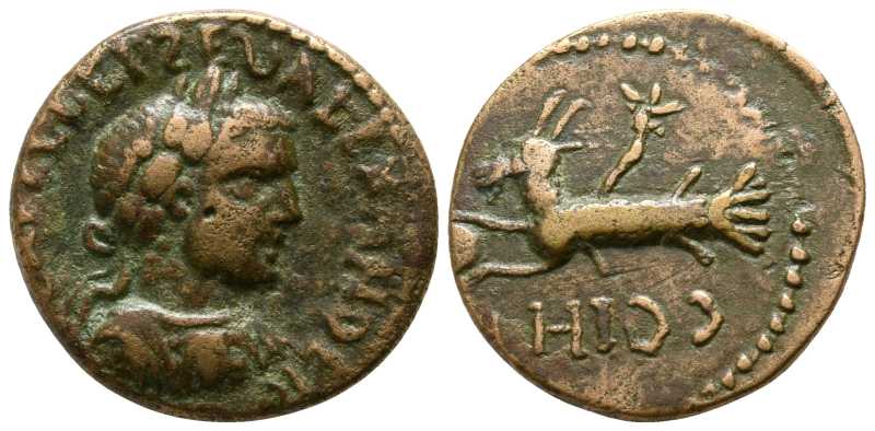 6643 Parium Mysia Severus Alexander AE