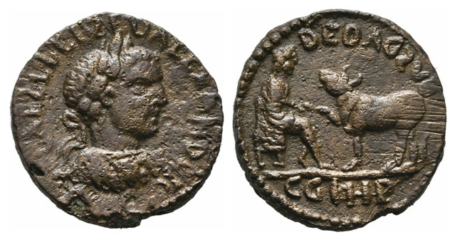 7031 Parium Mysia Severus Alexander AE