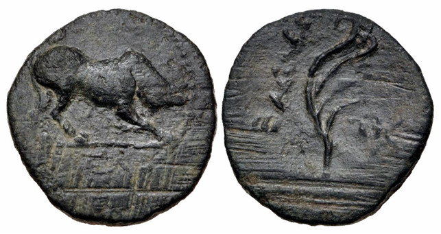 6993 Philopator I Rex Ciliciae AE