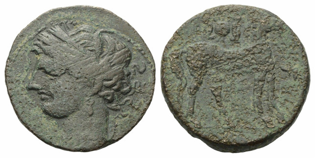 7065 Carthago Zeugitania AE